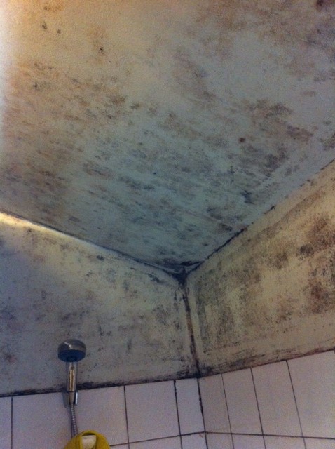 Brent Council housing prosecution - dampness in bathroom